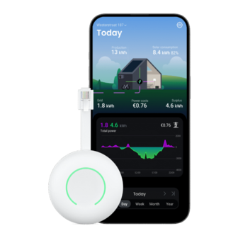 Homewizard P1 Meter